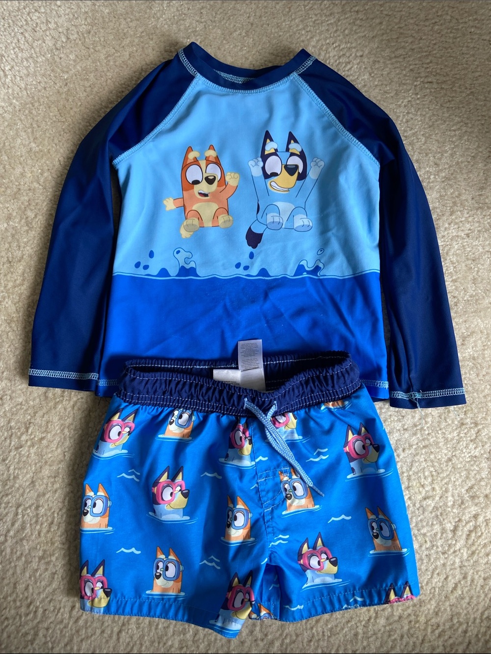 Bluey Kids Long-Sleeve Rash Guard Set